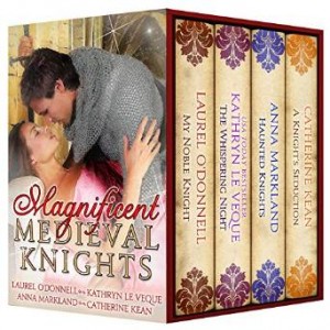 magnicent medieval knights